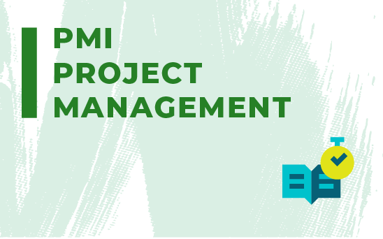 PMI Project Management 