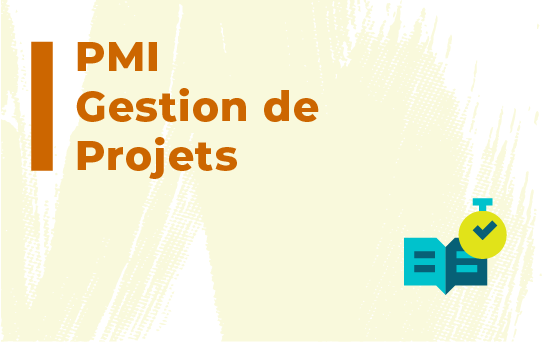 Gestion de Projets (PMI)