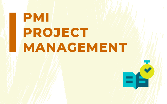  PMI Project Management 