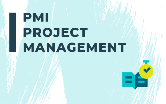 PMI Project Management