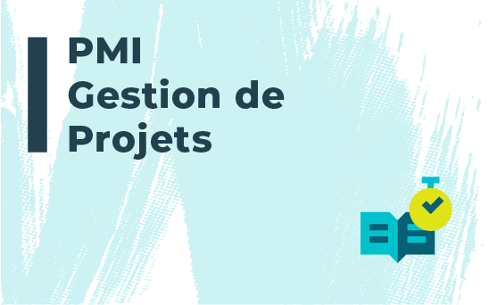 Gestion de Projets (PMI)